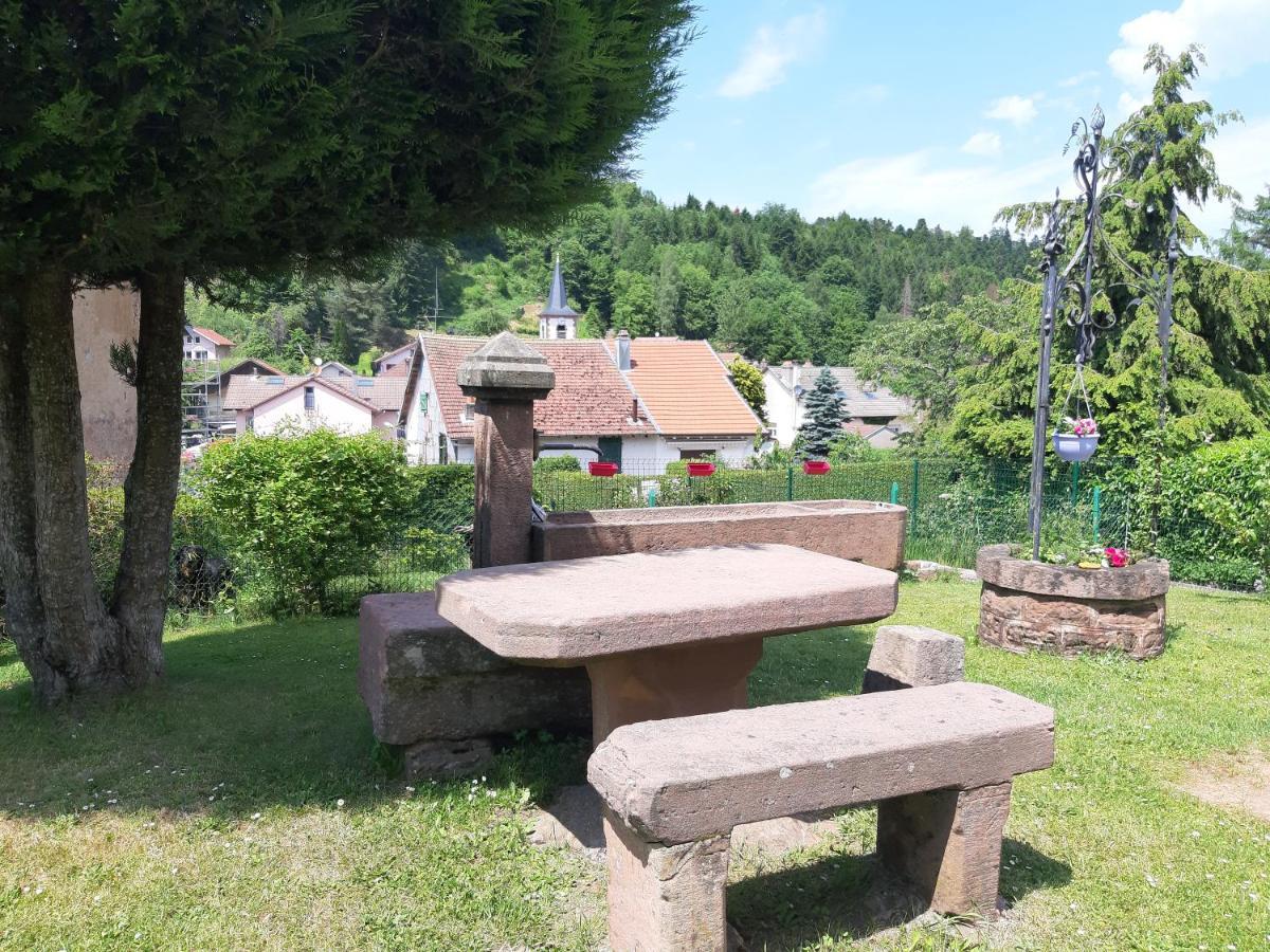 Chambres D'Hotes Des 2 Lacs Pierre-Percée Εξωτερικό φωτογραφία